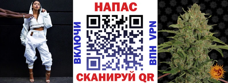 Шишки марихуана сатива где можно купить МЕГА как войти Жирновск